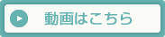 動画はこちら